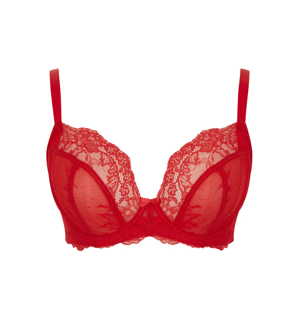 Shop Lace Padded Plunge Bra with Hook and Eye Closure Online