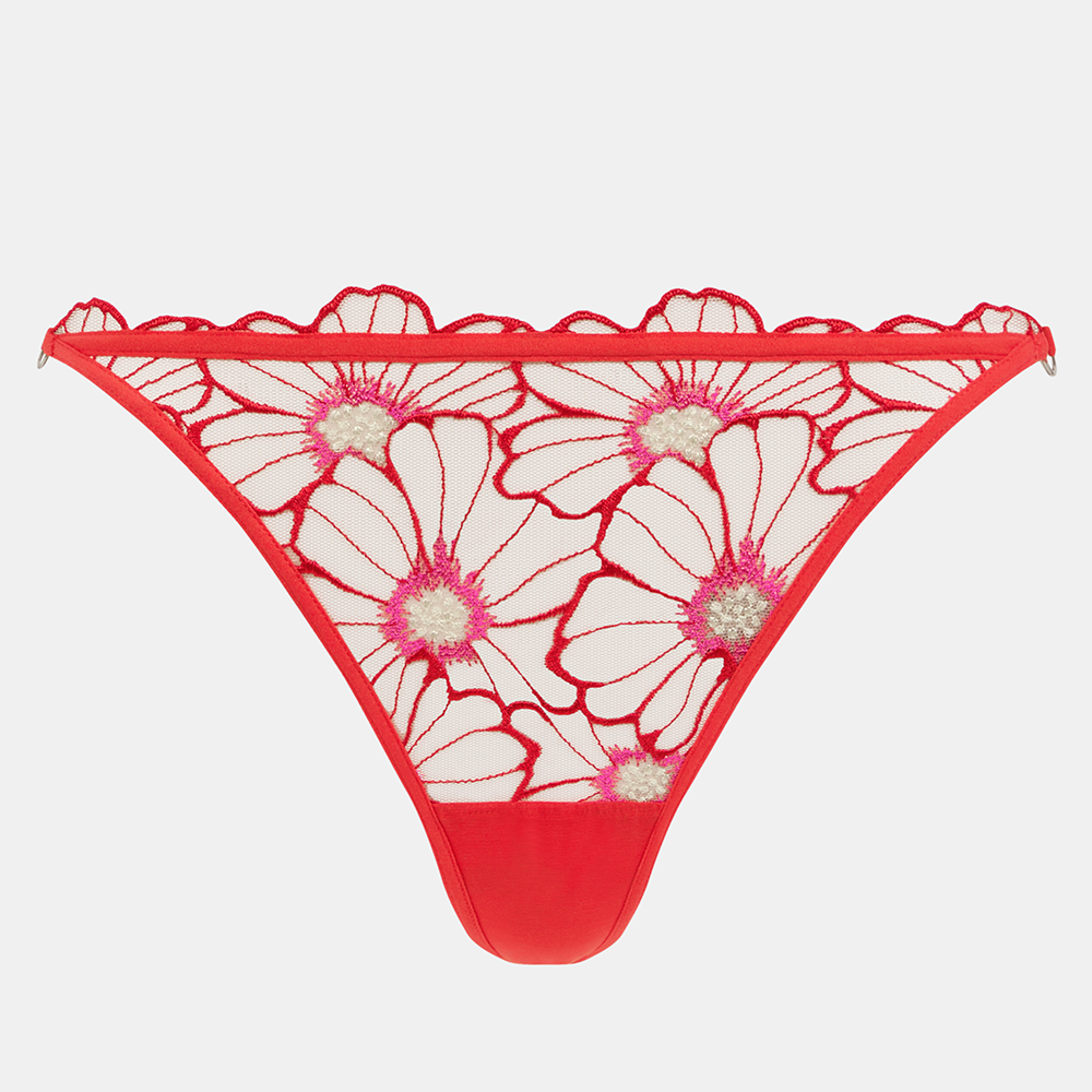 Lush Thong Flamboyant Flower