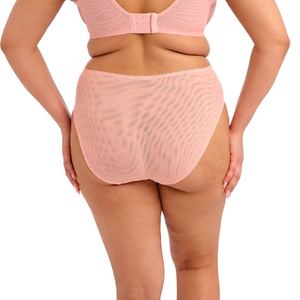 Zarla High Leg Brief Rose Bud
