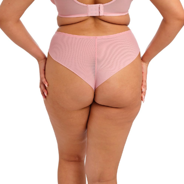 Aerith Brazilian Brief Rose