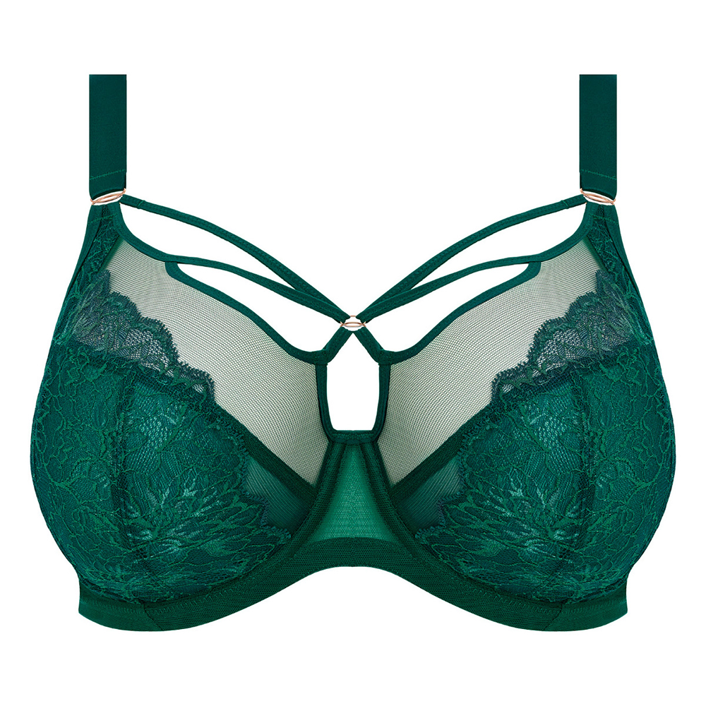 Brianna Underwire Plunge Bra Rainforest