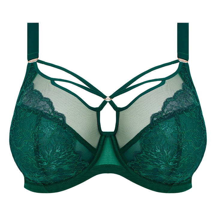 Brianna Underwire Plunge Bra Rainforest