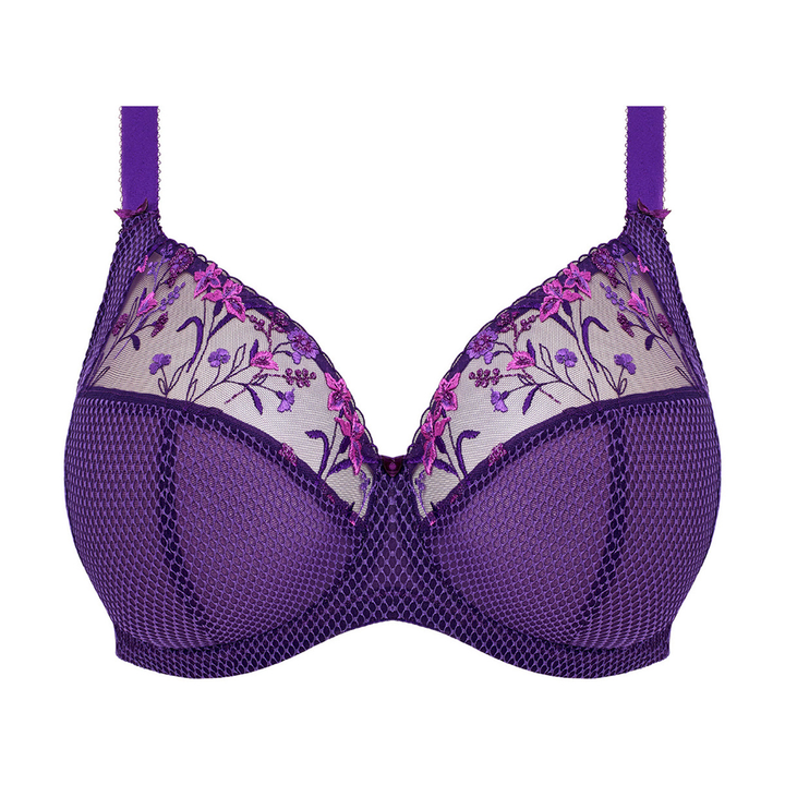 Charley Underwire Plunge Bra Iris