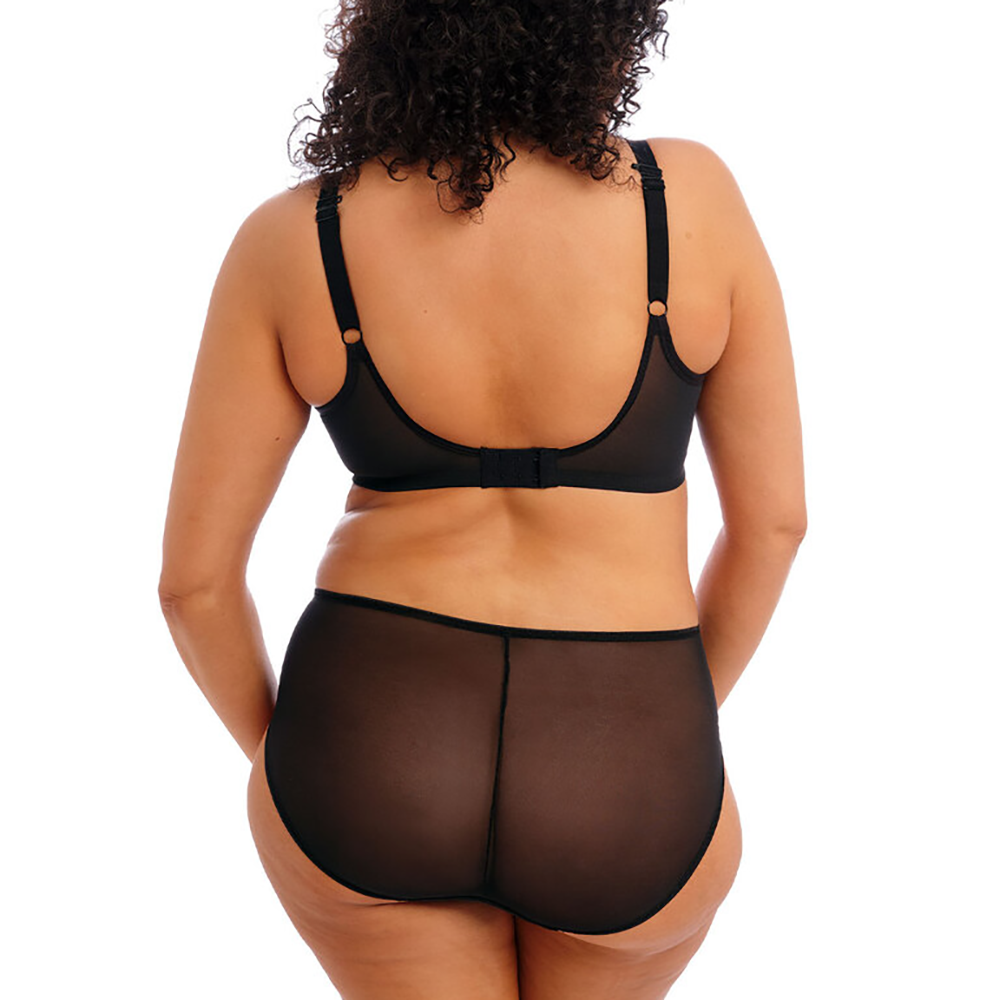 Matilda Brief Basic Colors