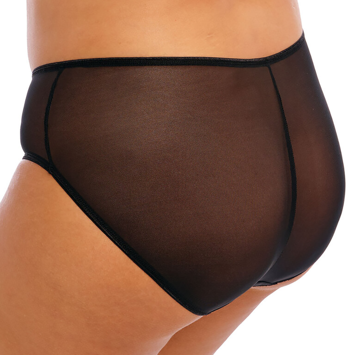 Matilda Brief Basic Colors