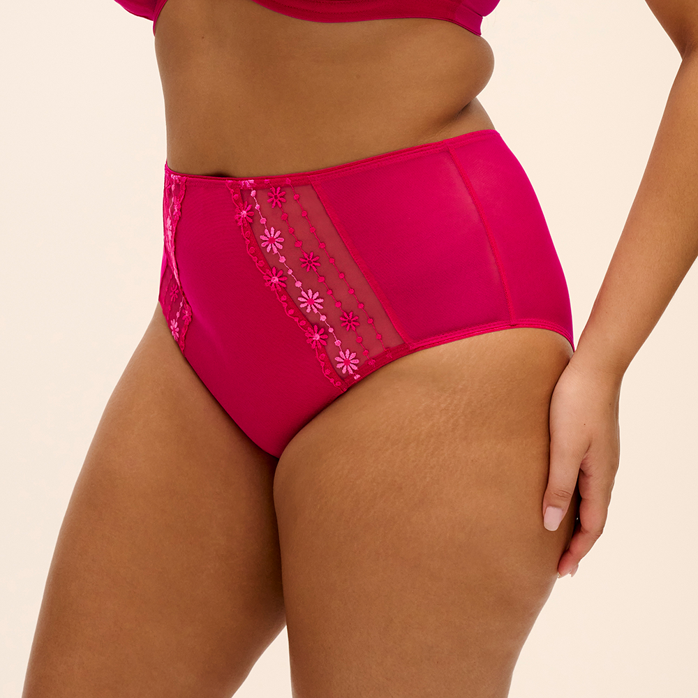 Matilda Full Brief Hot Pink EL8906