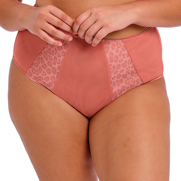 Matilda Rose Leo Full Brief