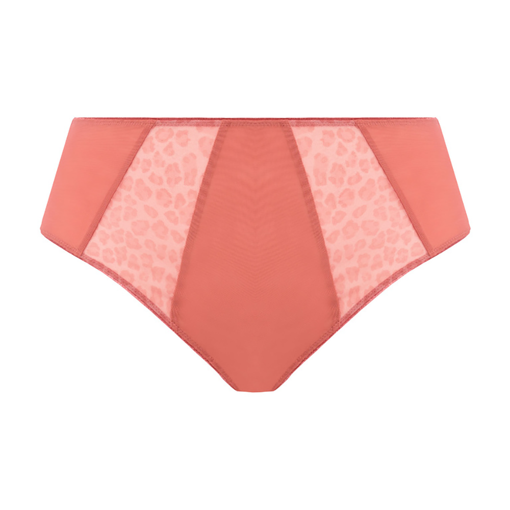 Matilda Rose Leo Full Brief