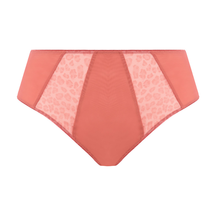 Matilda Rose Leo Full Brief