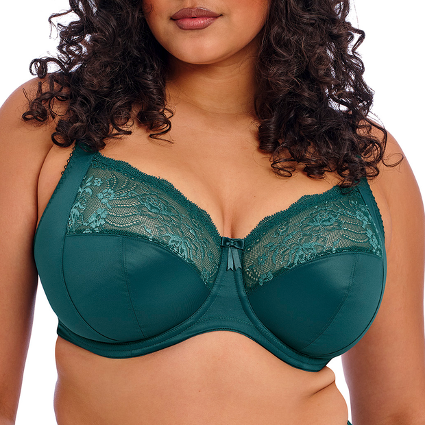 Elomi Full Figure Morgan Banded Underwire Stretch Lace Bra EL4110, Online  Only - Cameo Rose