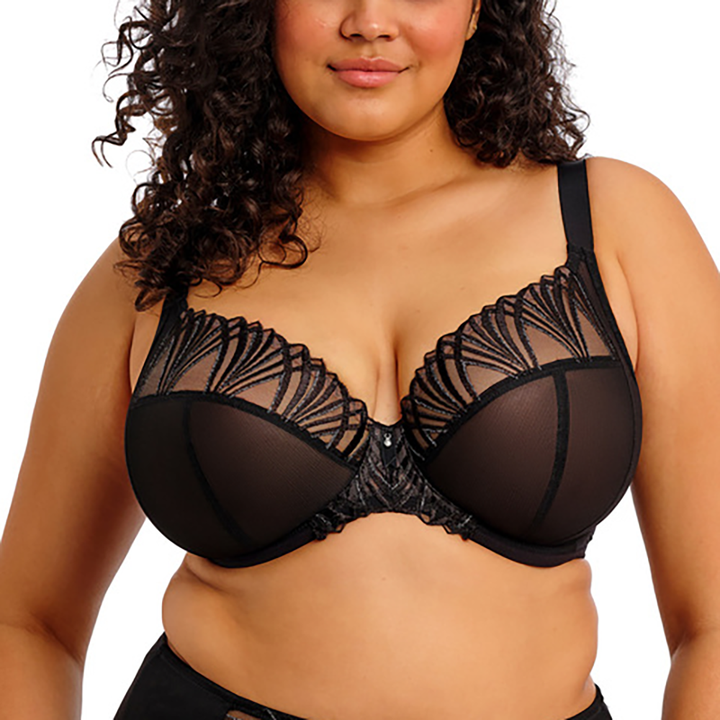 Reja Underwire Plunge Bra Black