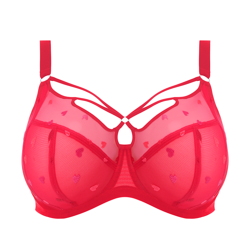 Shop for Elomi, Red, Lingerie
