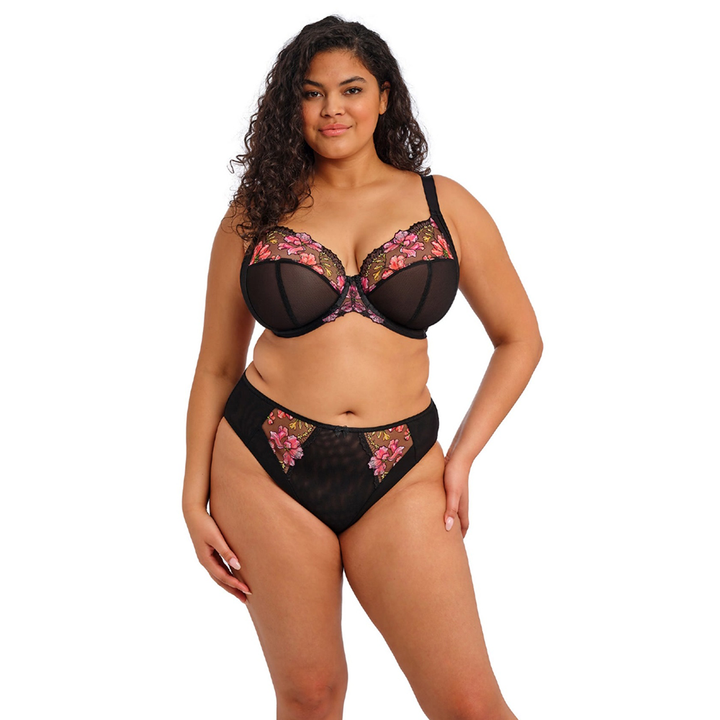 Teagan High Leg Brief Rainbow