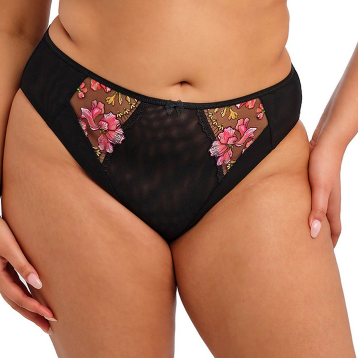 Teagan High Leg Brief Rainbow