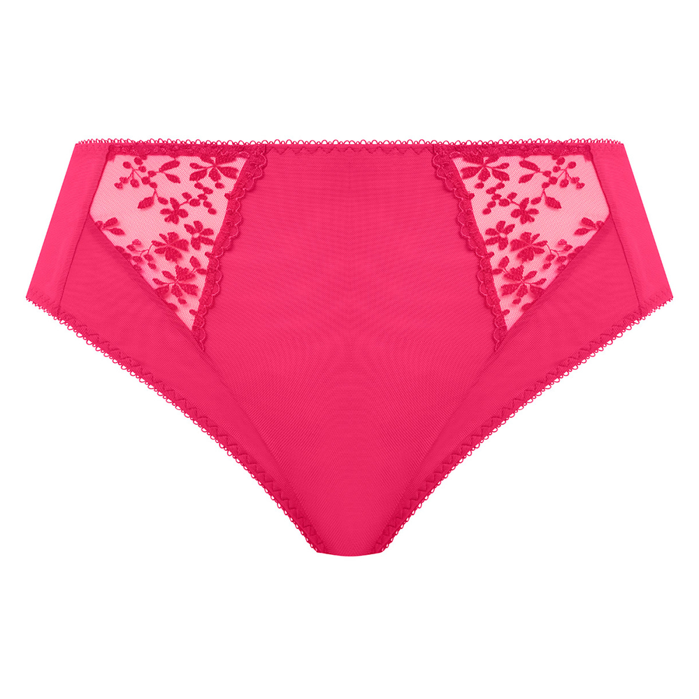 Zarla High Leg Brief Love Potion