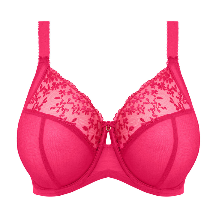 Zarla Underwire Bra Love Potion