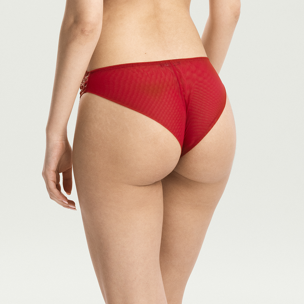 Embroidered Brazilian Briefs Red M8435