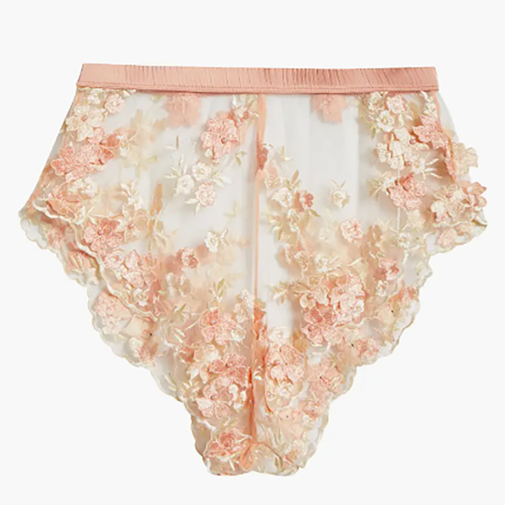 Embroidered Peach Mesh Tap Shorts