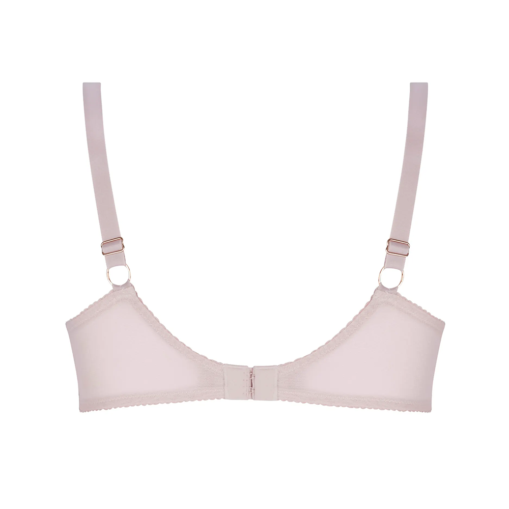 L'Hiver En Fete Demi Cup Roses