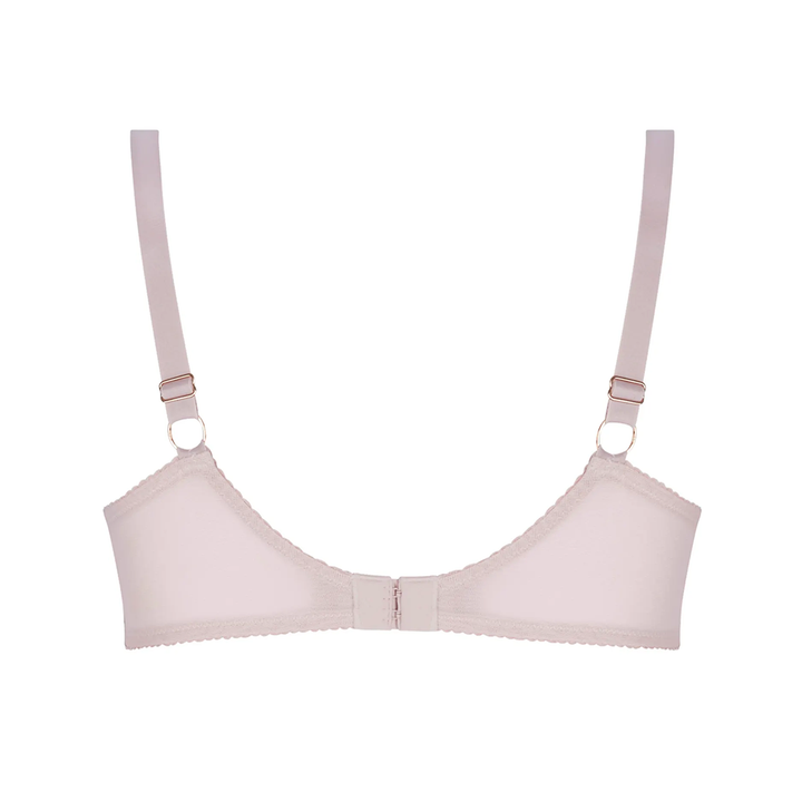 L'Hiver En Fete Demi Cup Roses