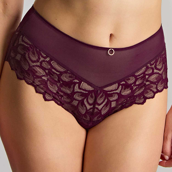 Allure Deep Brief Plum 10764