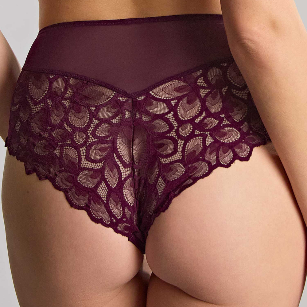 Allure Deep Brief Plum 10764