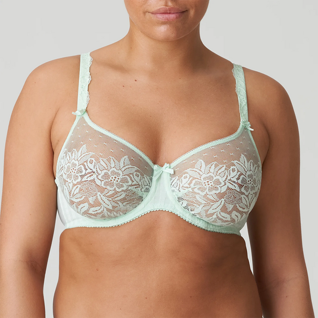 Mint Green Lace Bralette, Sheer Lace Bralet, Pastel Green Sexy