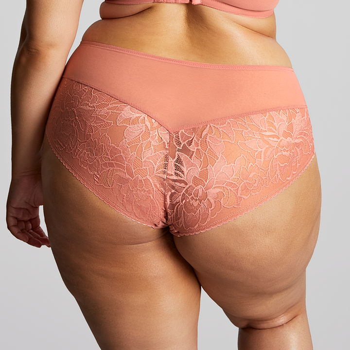 Dream Deep Brief Rose