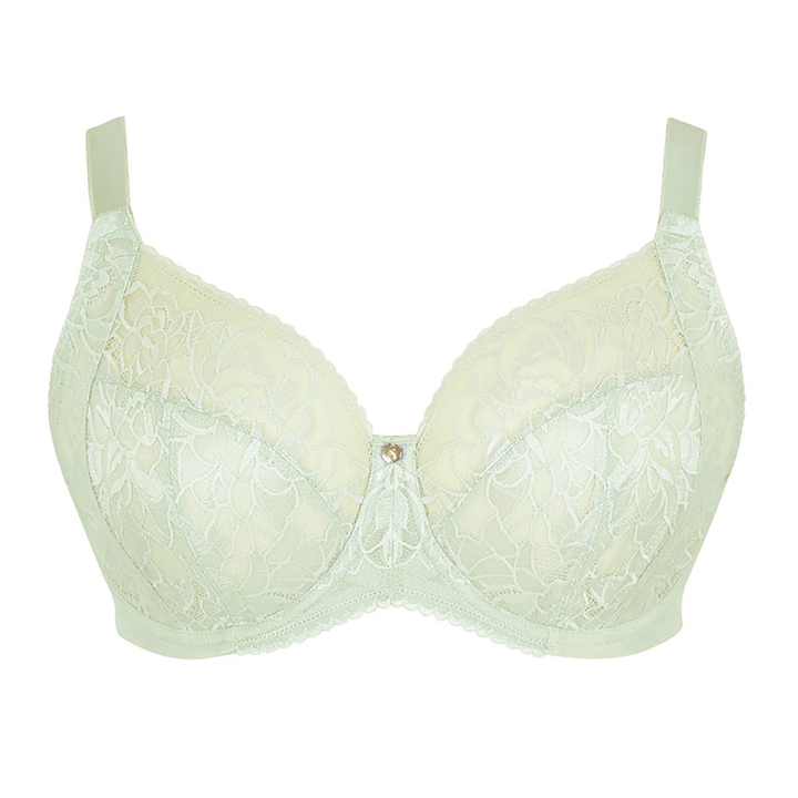 Dream Full Cup Bra Pistachio