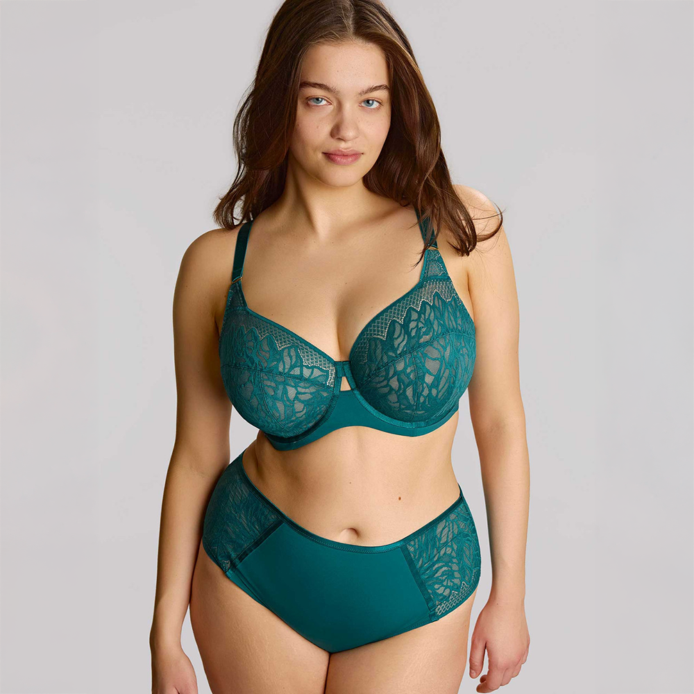 Sophia Deep Brief Teal Blue