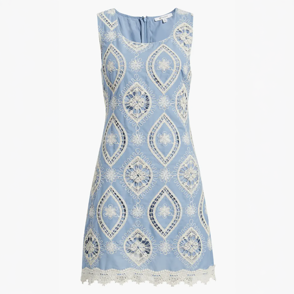 Embroidered Cotton Minidress