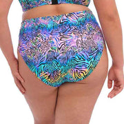 Elomi Swim Electric Savannah Mid Rise Bikini ES800772 Leopard