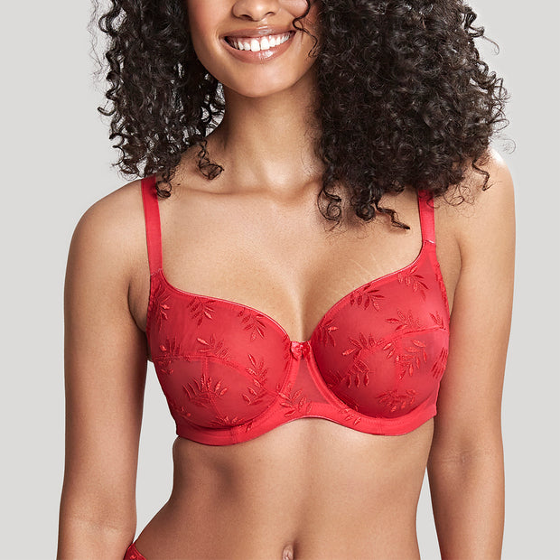 Red Lace Cup And Panel Satin Body, Lingerie