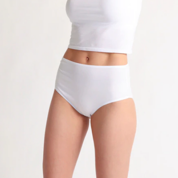 Skin Gemma Full Cut Panty OCL601B – Petticoat Fair Austin